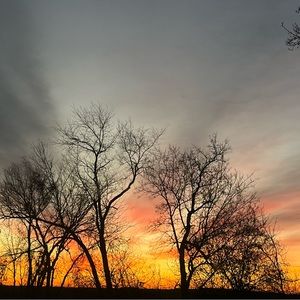 Meet your Posher, Addison